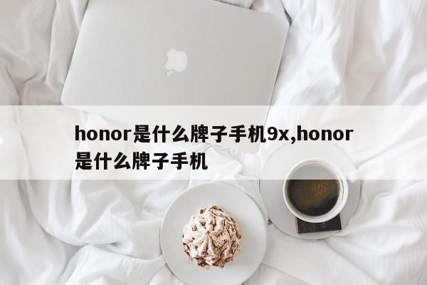 honor是什么牌子手机9x,honor是什么牌子手机